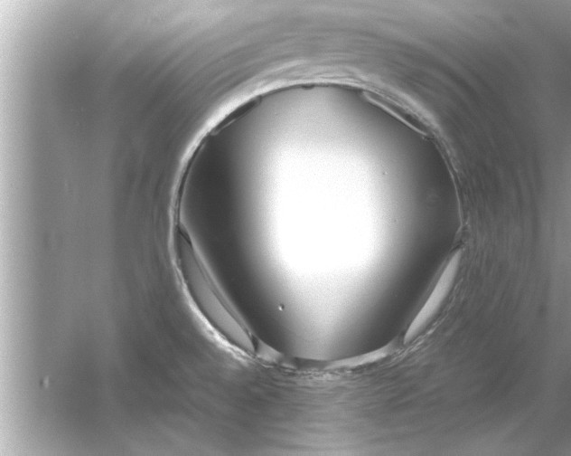 X0000053011528200508051147