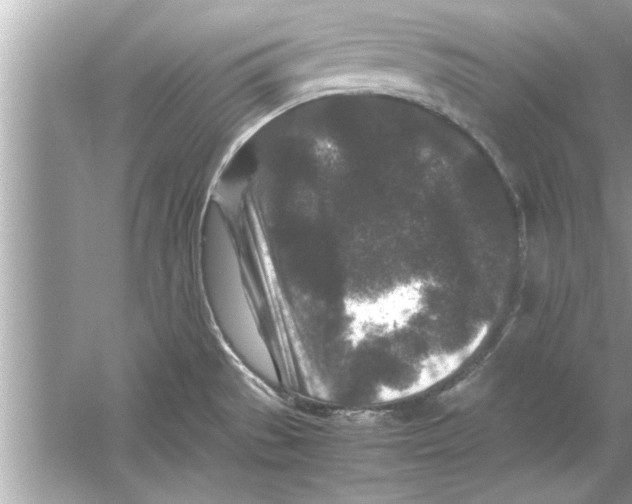 X0000053011529200508051147