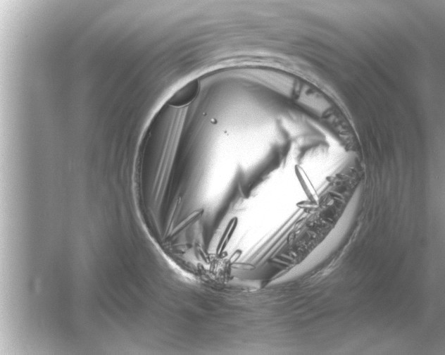 X0000053011533200508051147