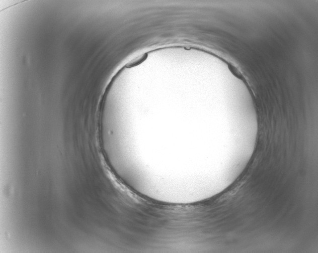 X0000053011534200508051147