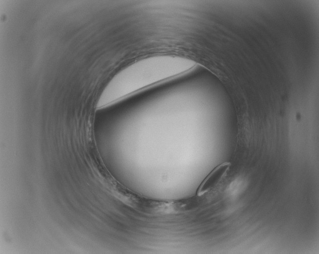 X0000053020083200507081003