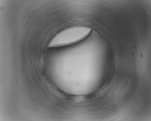 X0000053020085200507081003