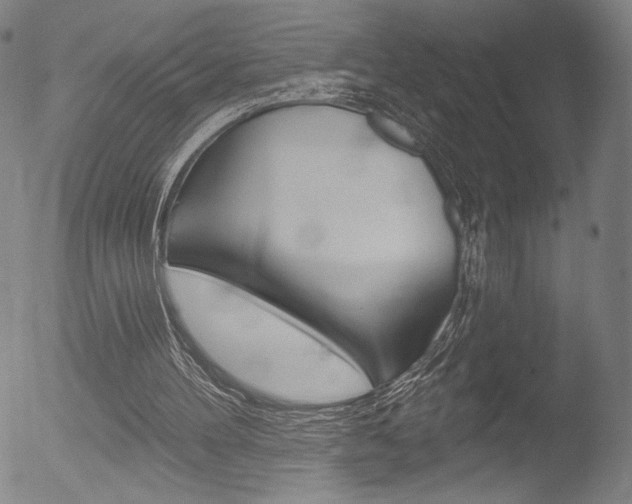 X0000053020100200507081002