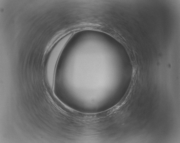 X0000053020101200507081002