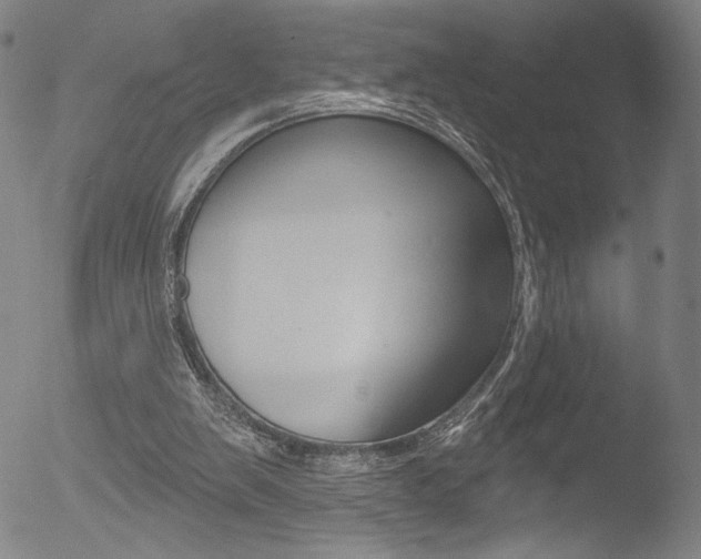 X0000053020103200507081002