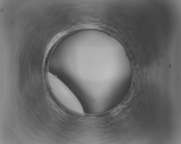 X0000053020104200507081002