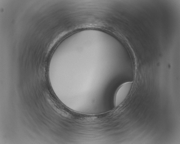 X0000053020108200507081002