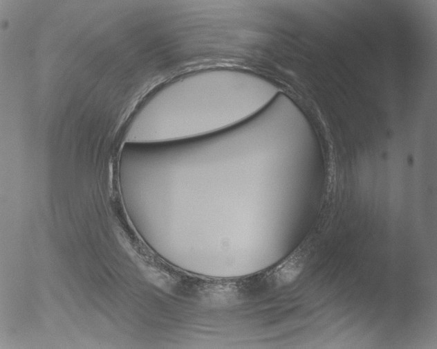 X0000053020110200507081002