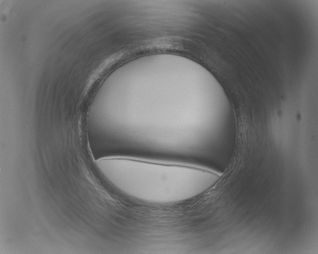 X0000053020112200507081002