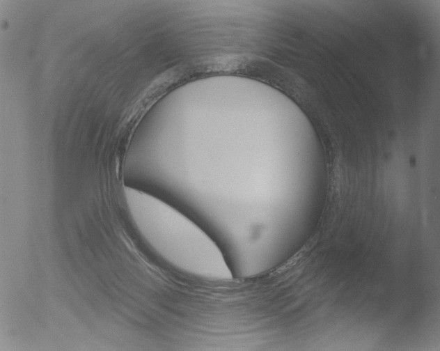 X0000053020118200507081002