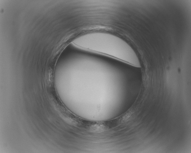 X0000053020119200507081002