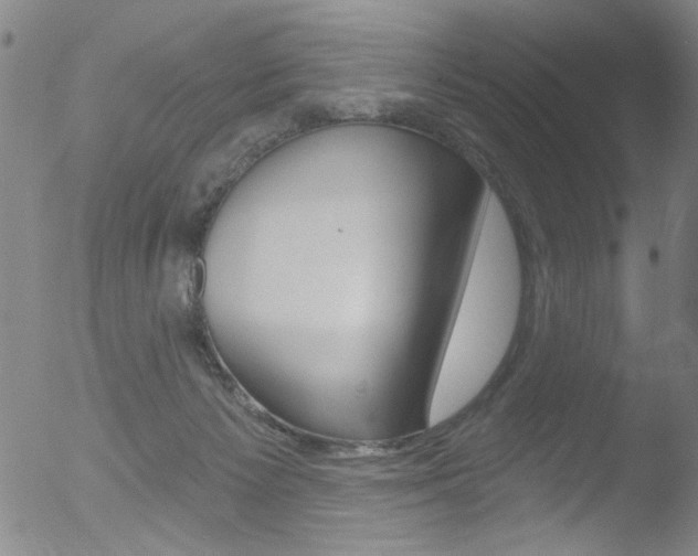 X0000053020125200507081002