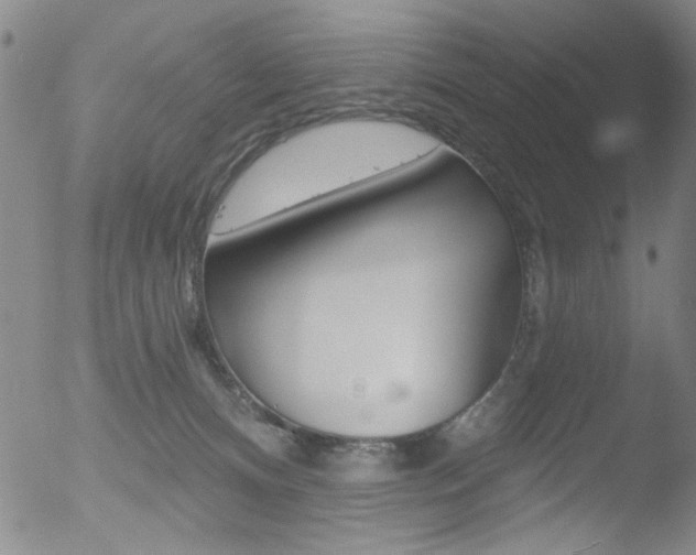 X0000053020128200507081002