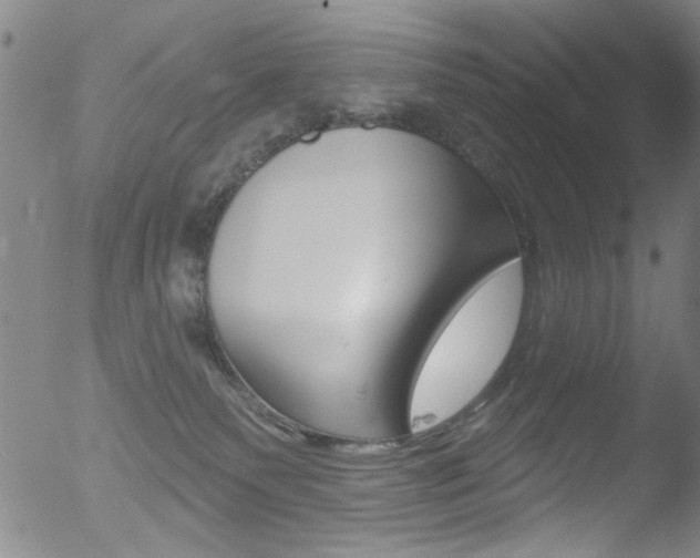 X0000053020135200507081001