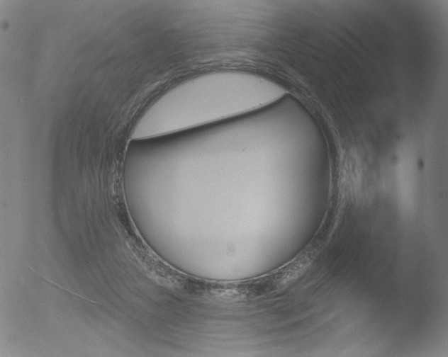 X0000053020161200507081001