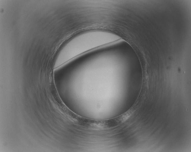 X0000053020164200507081001