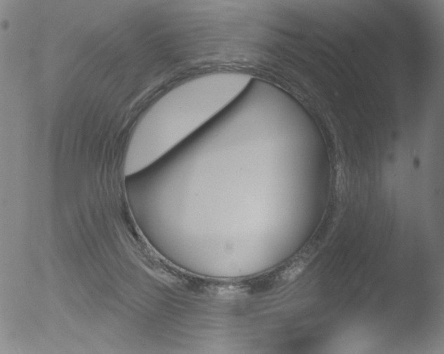 X0000053020165200507081001