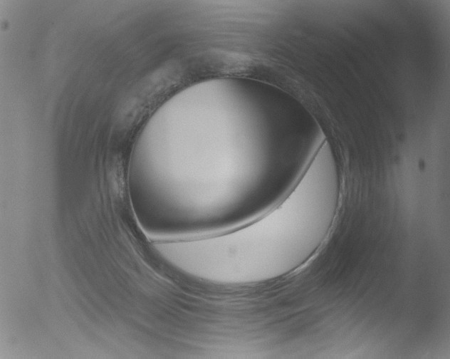 X0000053020170200507081001
