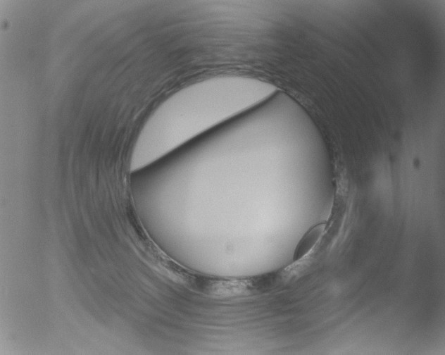 X0000053020179200507081001