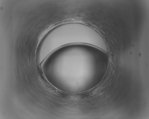 X0000053020248200507080959