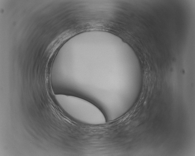 X0000053020290200507080959