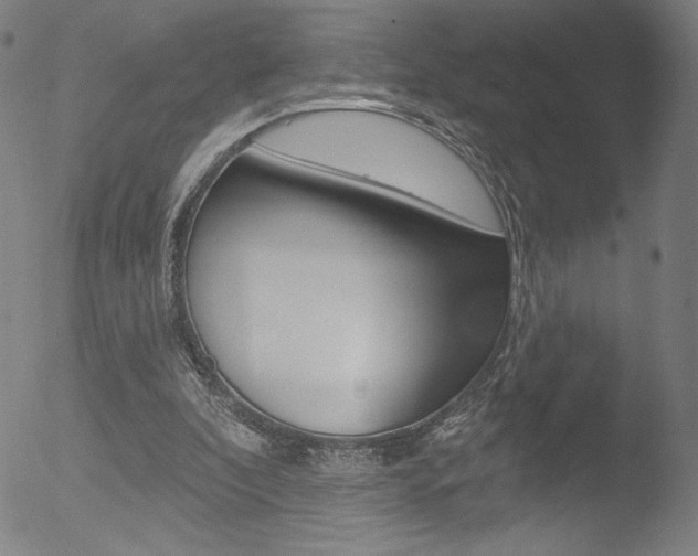 X0000053020296200507080959