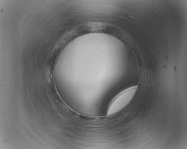 X0000053020316200507080958