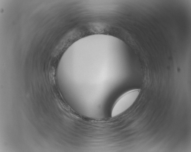X0000053020332200507080958