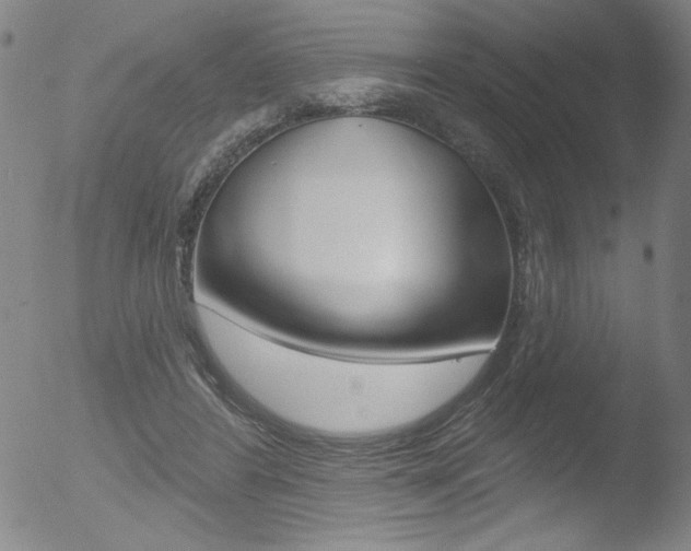 X0000053020404200507080957