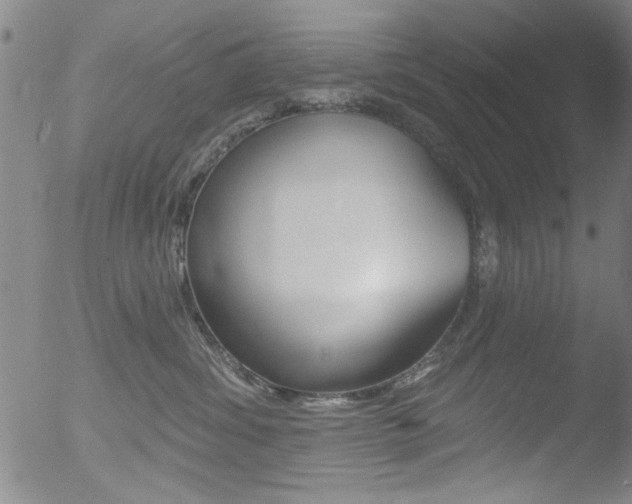 X0000053020428200507080957