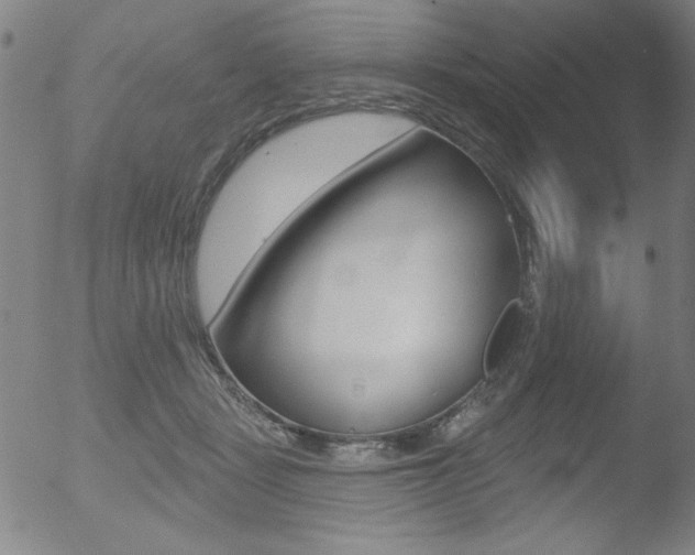 X0000053020461200507080956