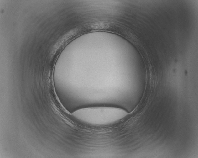 X0000053020490200507080956