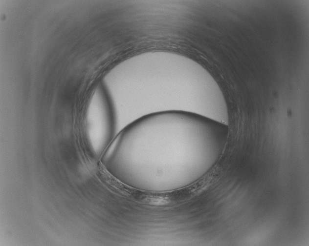 X0000053020507200507080955