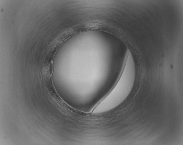 X0000053020601200507080954