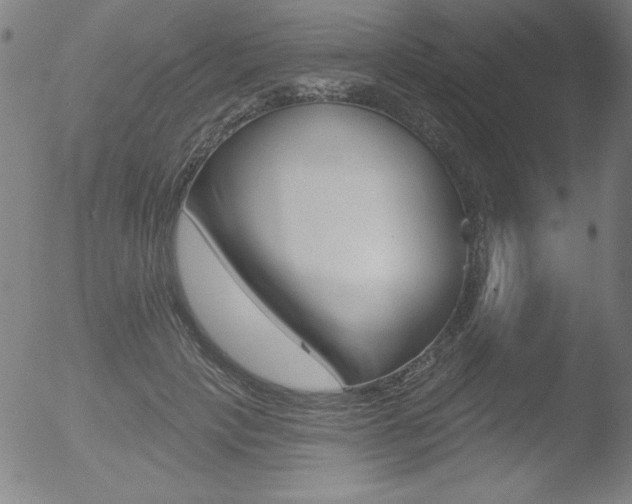 X0000053020649200507080953