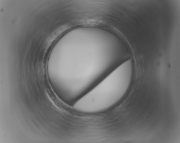 X0000053020674200507080953