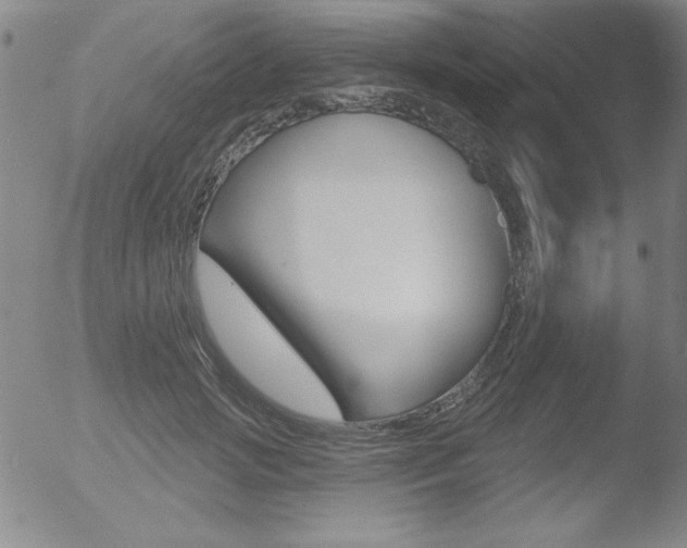 X0000053020749200507080951
