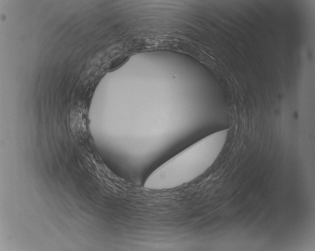 X0000053020770200507080951