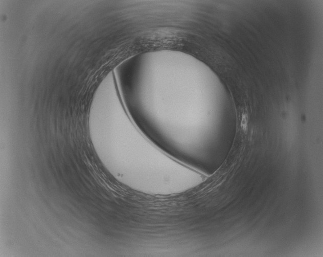 X0000053020771200507080951