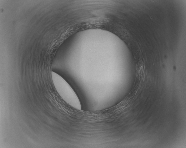 X0000053020772200507080951