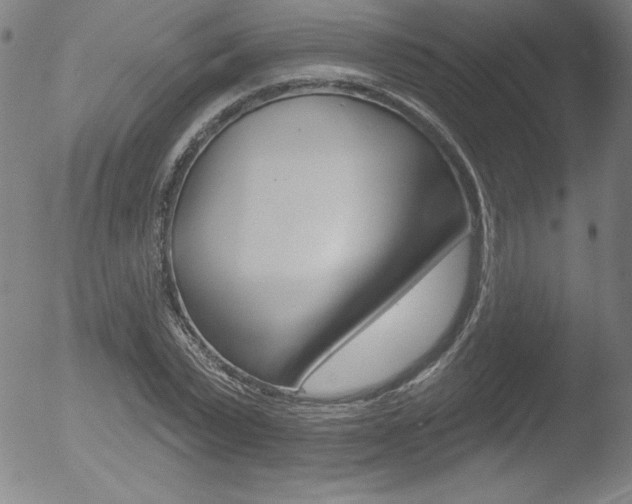 X0000053020783200507080951