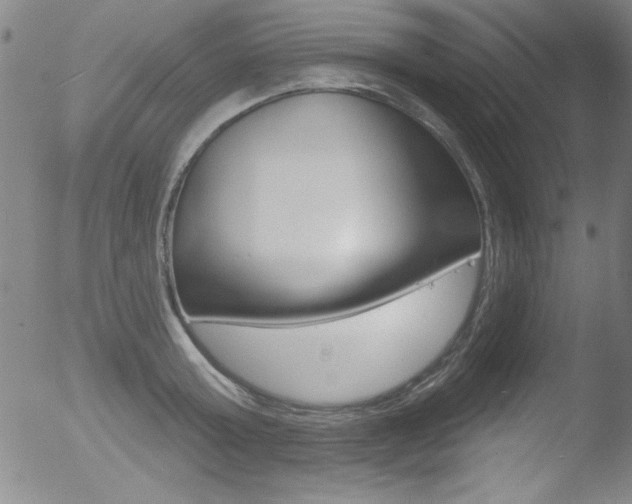 X0000053020803200507080950