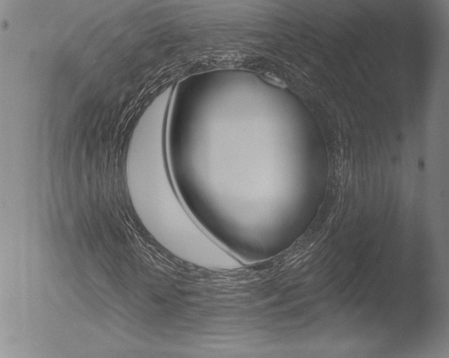 X0000053020818200507080949