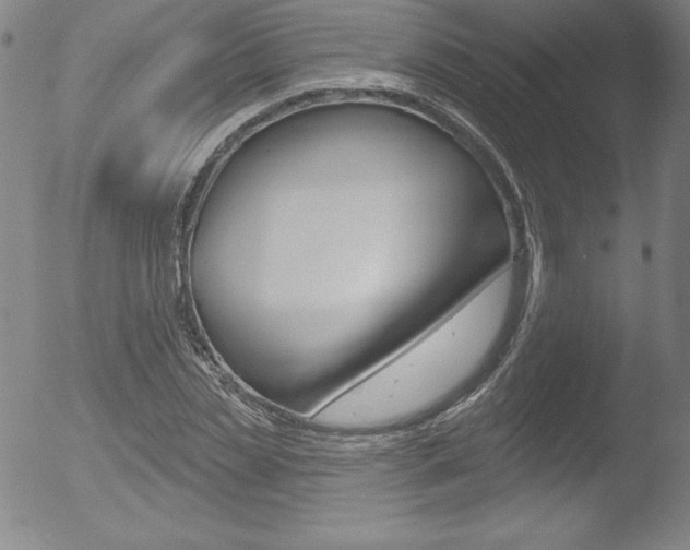 X0000053020829200507080950