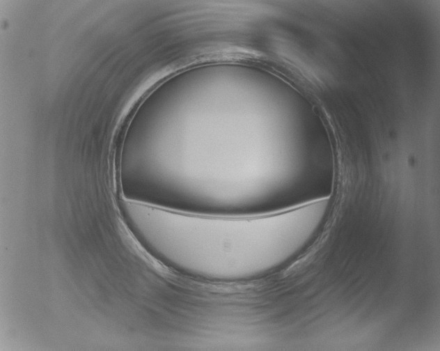 X0000053020843200507080950