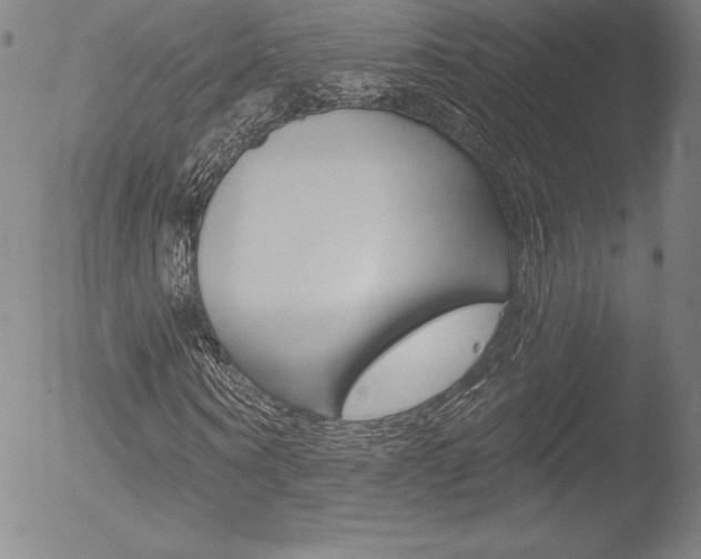 X0000053020866200507080949