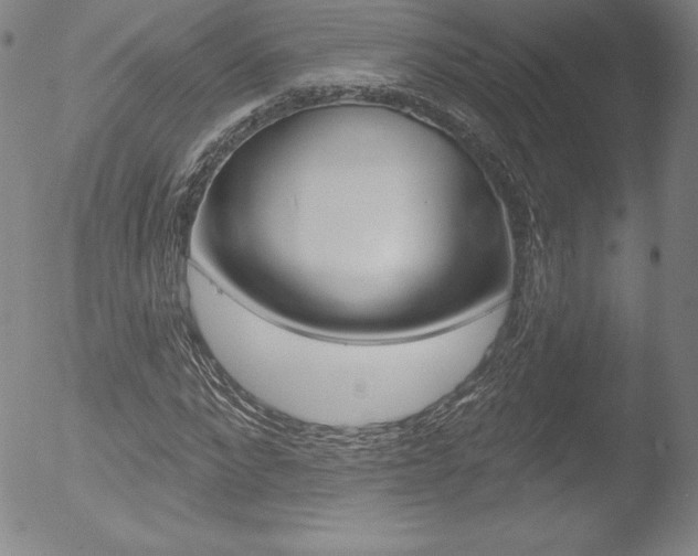 X0000053020872200507080949