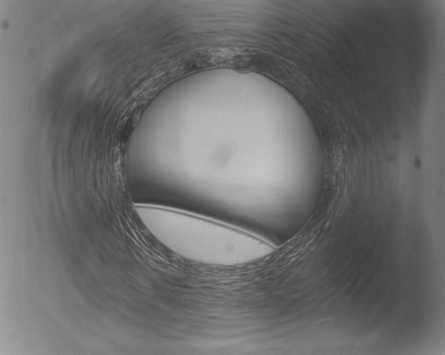 X0000053020914200507080948