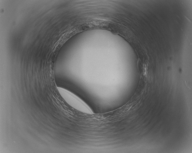 X0000053020915200507080948
