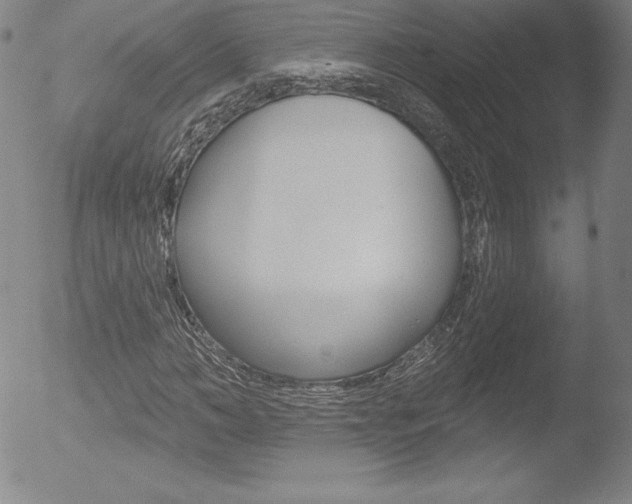 X0000053020966200507080948